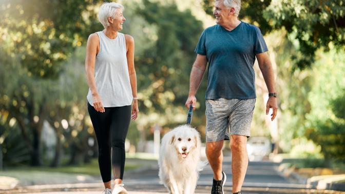 Older couple walking a white dog on an urban path