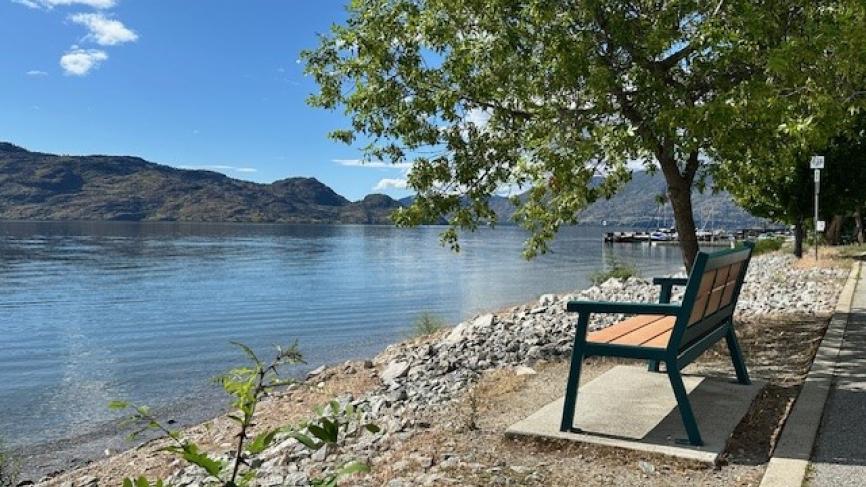 Waterfront bench on Centennial Way